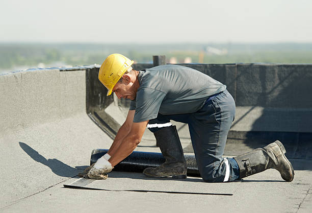 Best Best Insulation Companies  in Shinglehouse, PA