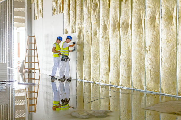 Best Professional Insulation Contractor  in Shinglehouse, PA